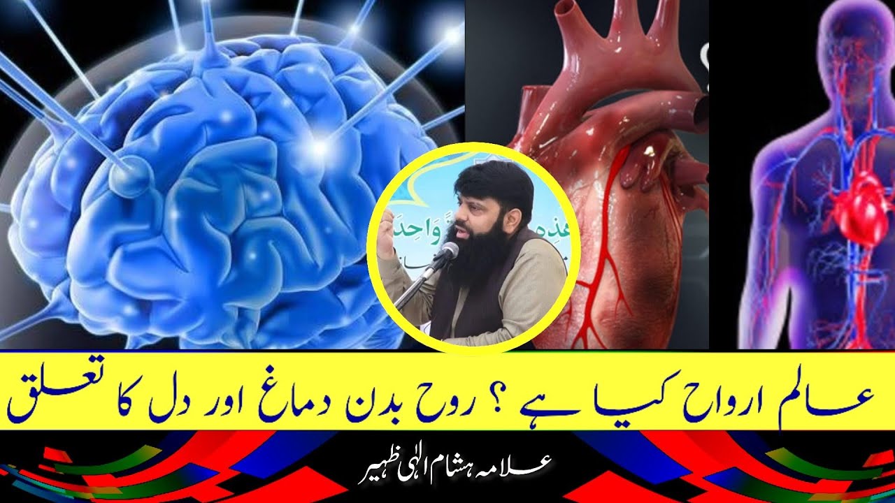 عالم ارواح کیا ہے ؟ روح بدن دماغ اور دل کا تعلق