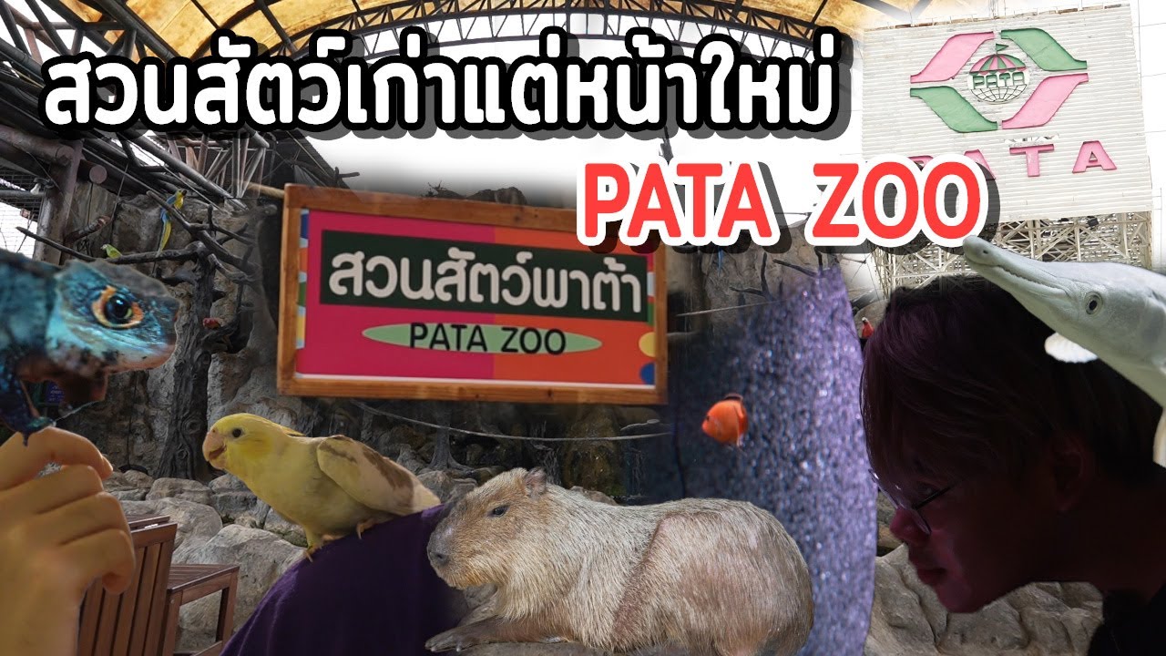 Pata Zoo สวนสัตว์พาต้าเจ้าเก่าแต่หน้าใหม่ พาไปชม 