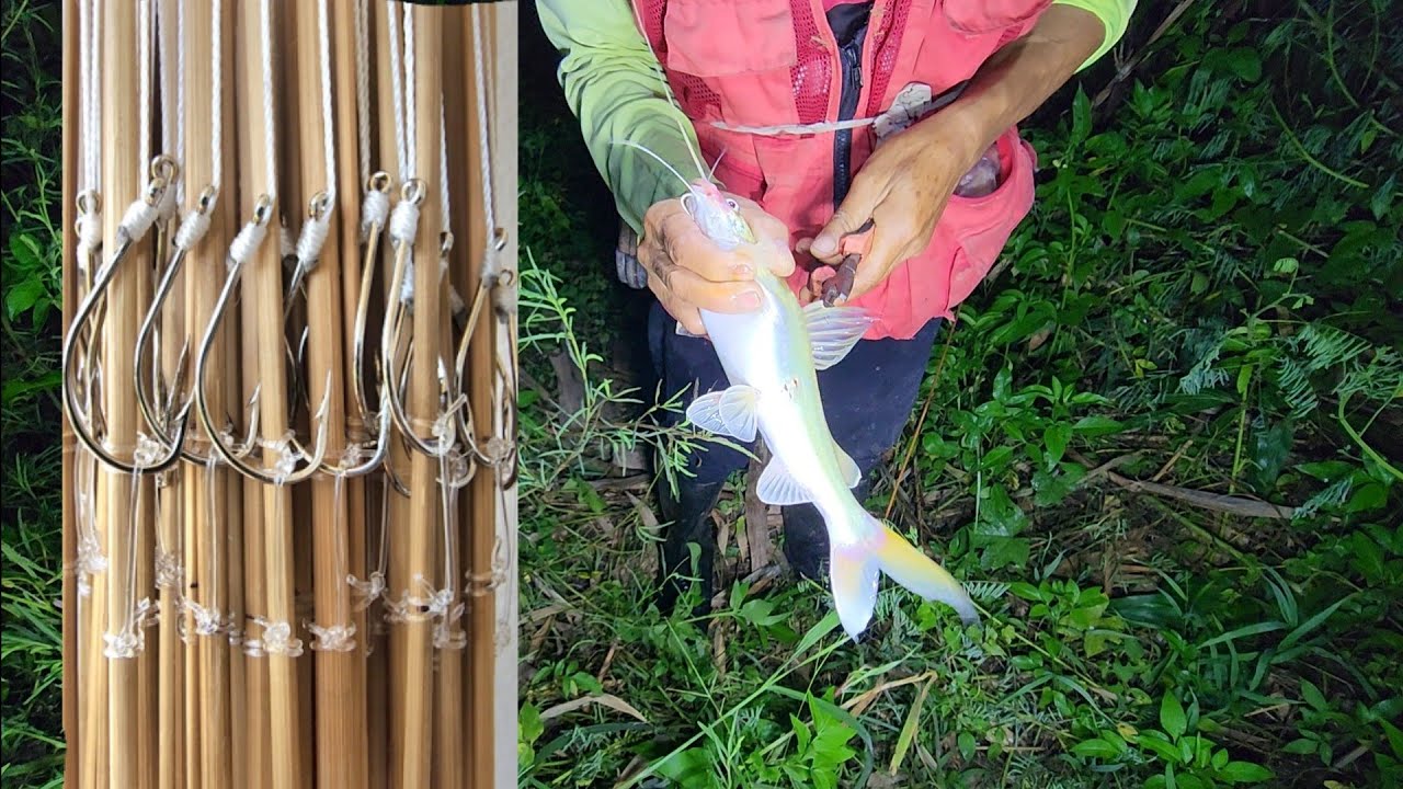 เอาอีกแล้วแต่ละหลัง ดงปลากดชัดๆ ไซส์สวยๆทั้งนั้น 