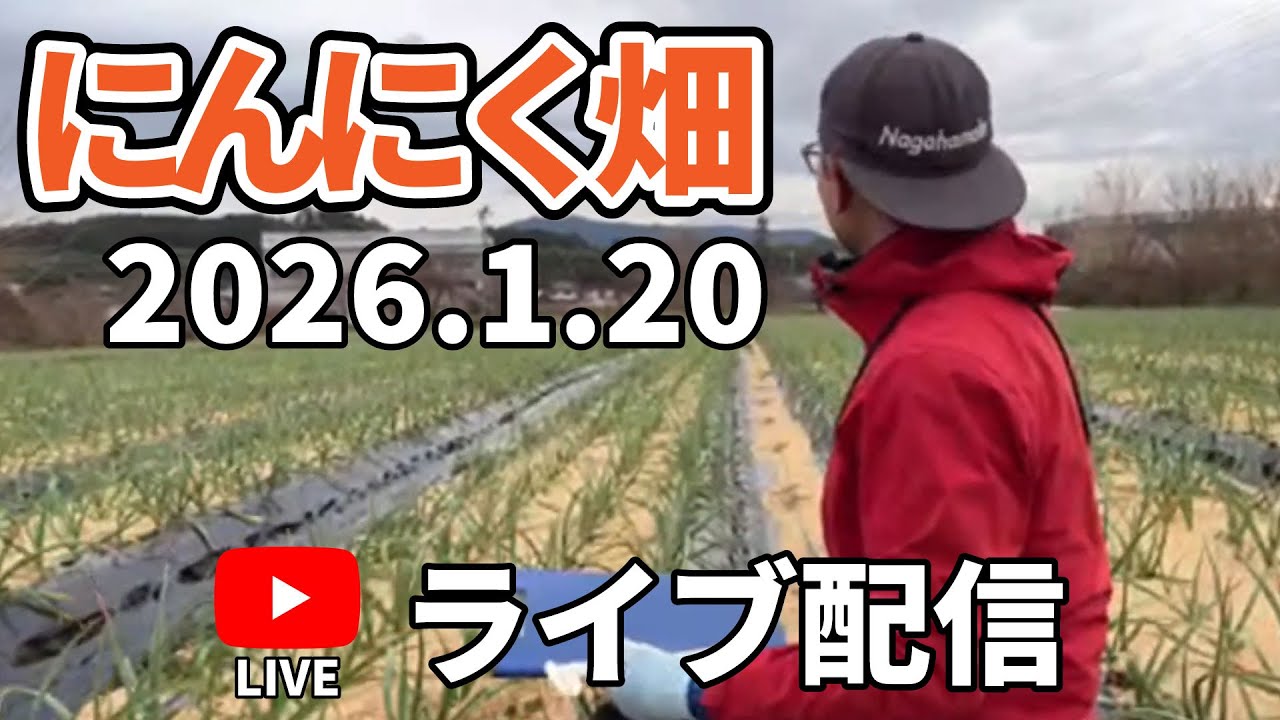2026.1.20　松尾農園　にんにく畑からのライブ配信