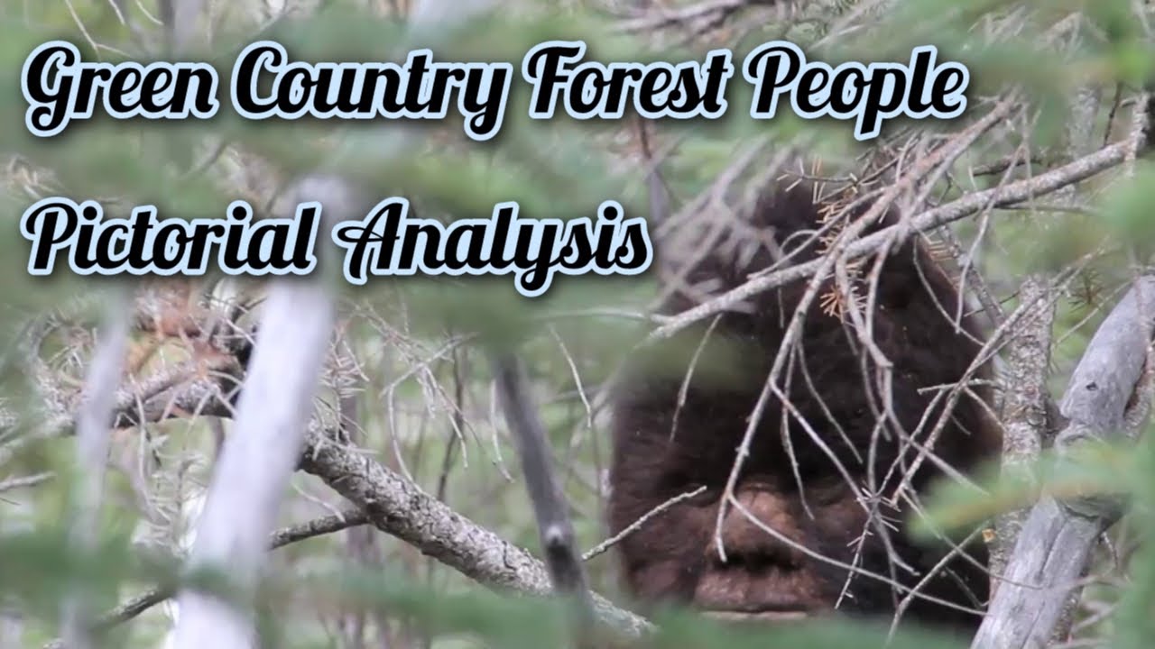 Pareidolia Or Unexplained Reality? Green Country Forest People Presents His Evidence!