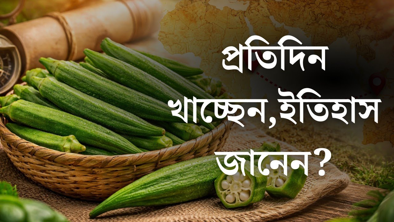 Indian Food History || ঢেঁড়শ ভাজা খাচ্ছেন? জানেন এই সবজি ভারতে এল কীভাবে! || Creator Kite 