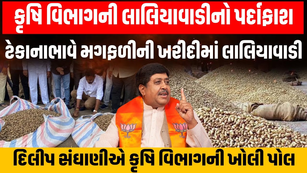 Dilip Sanghani એ ટેકાનાભાવે મગફળીની ખરીદીમાં કૃષિ વિભાગની લાલિયાવાડીનો પર્દાફાર્શ કર્યો | Farmer