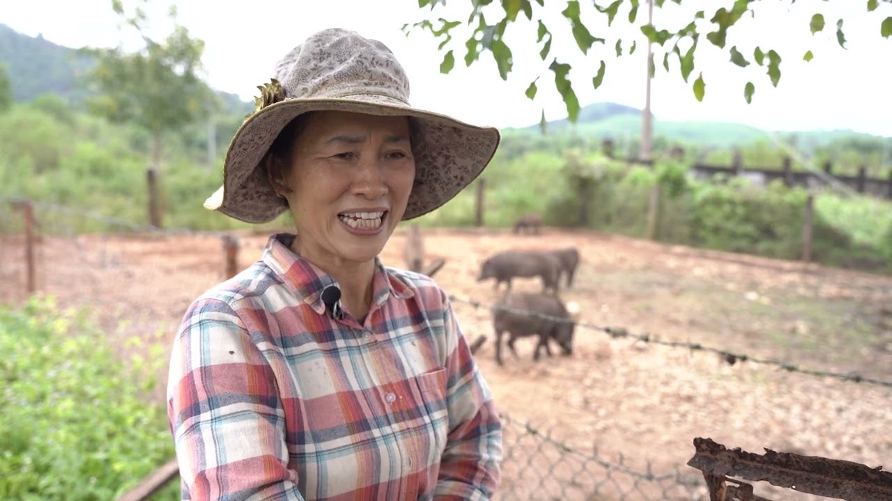 Kỹ thuật nuôi heo rừng