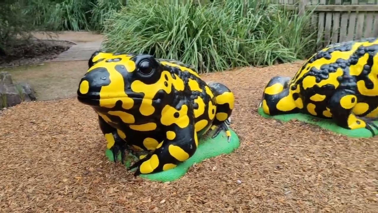 HEALESVILLE SANCTUARY MELBOURNE ZOO | ANIMALS, REPTILES, FUR, FEATHER, EXPLORE| BELLA VLOG