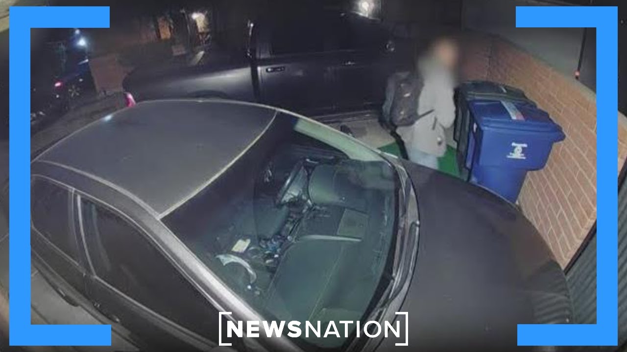 Nancy Guthrie case: New video shows man with backpacks | NewsNation Live