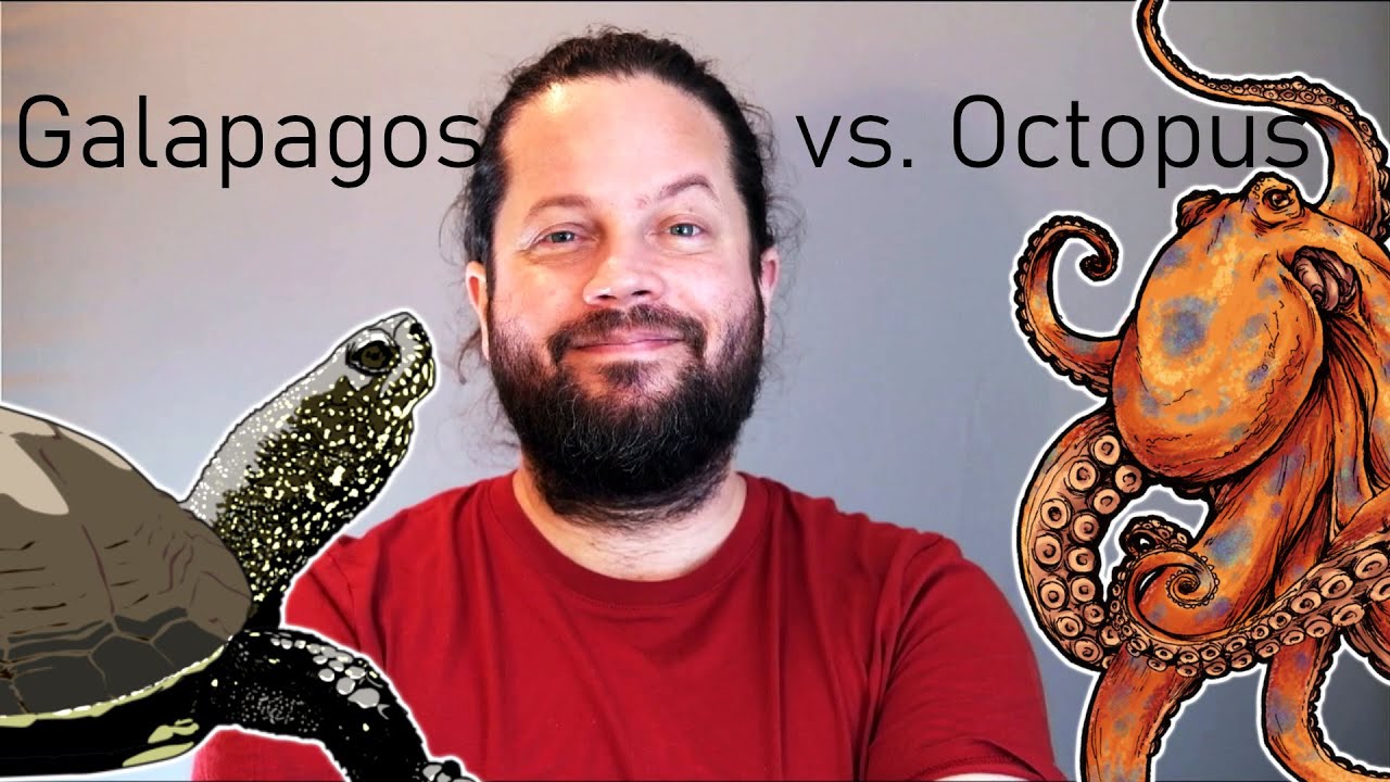 Многоцелевая оптимизация с помощью Octopus | Задача по созданию крошечного дома 02