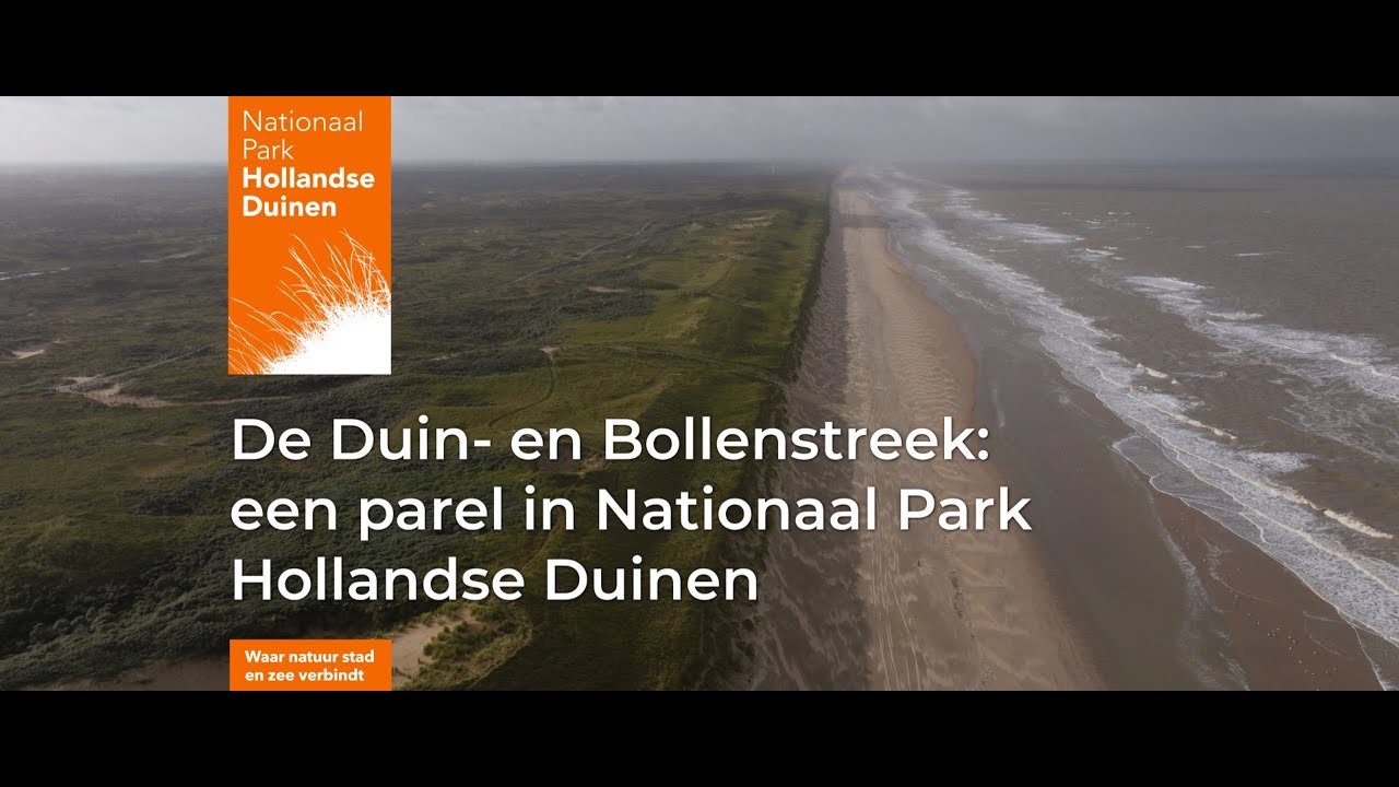 De Duin- en Bollenstreek: een parel in Nationaal Park Hollandse Duinen