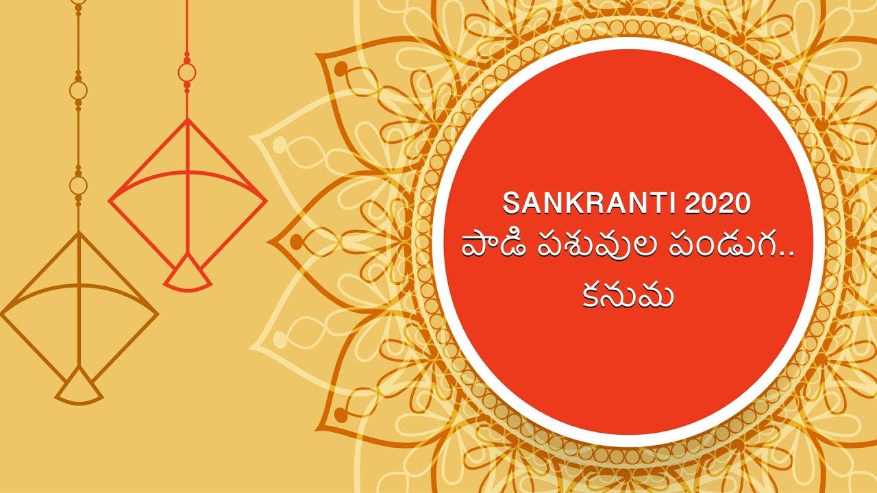 Special Significance Of Kanuma Festival 2020 | Samayam Telugu
