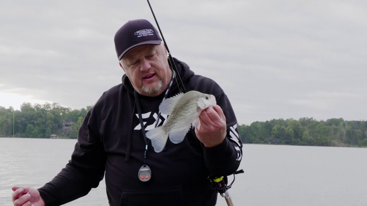 Dock Shooting for Crappie Hogs on Neely Henry Alabama