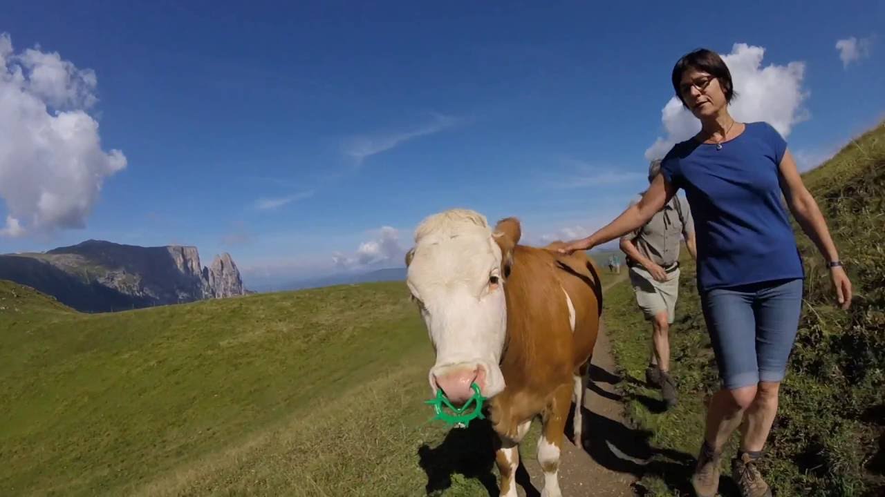 Seiser Alm - Rosszähne - Molignonpass - Dolomiten
