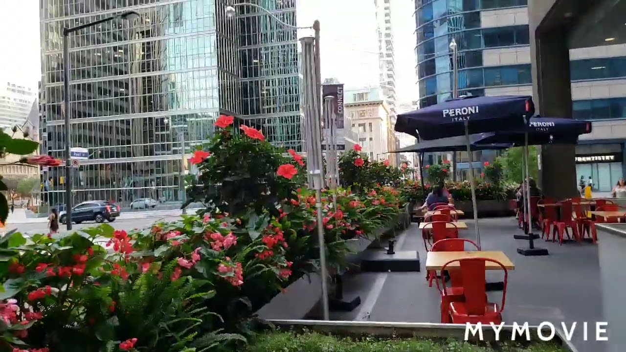 PATIO RESTAURANT PEARL TORONTO DOWNTOWN