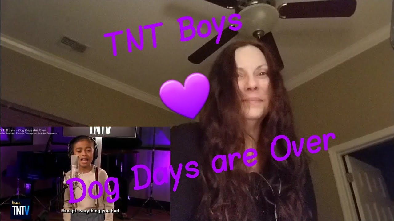 TNT Boys REACTION (Dog Days are Over)