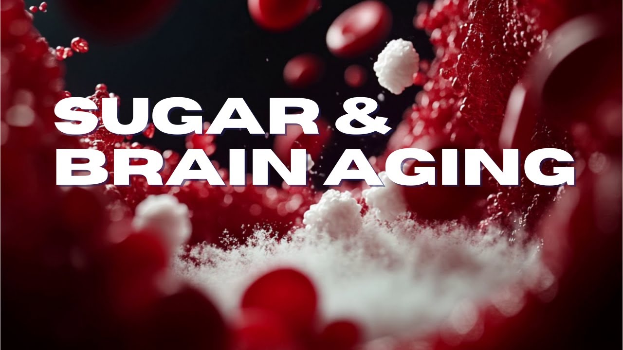 How Sugar Accelerates Brain Aging & Memory Loss | Blood Sugar and the Brain