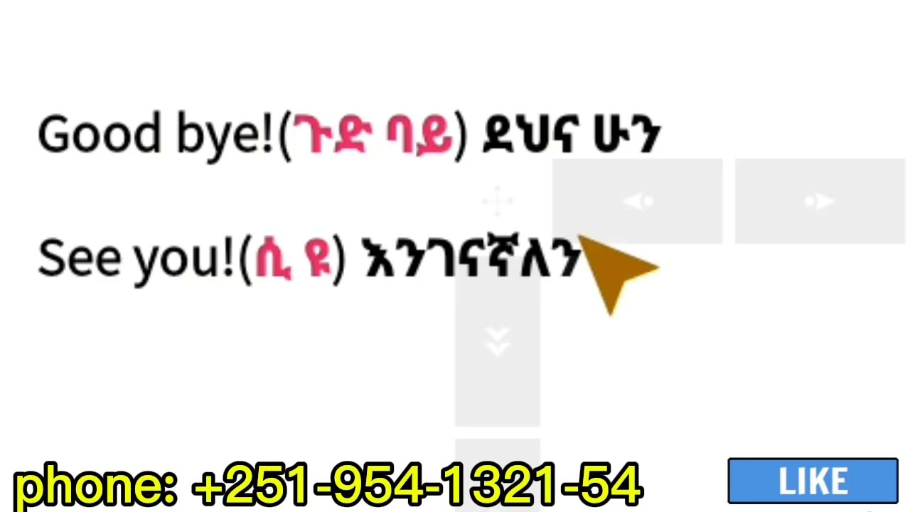 English words and phrases used in greeting /ለሰላምታ የመንጠቀማቸው የእንግሊዝኛ ቃላት/