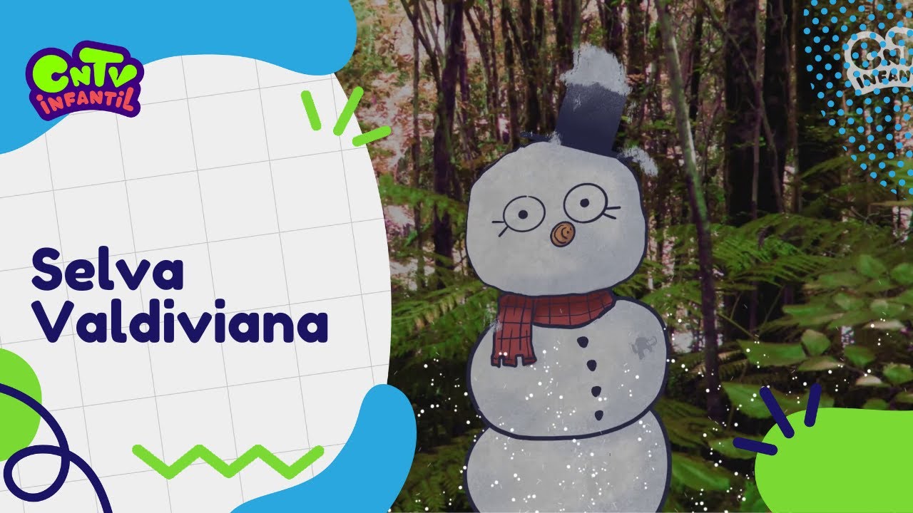 Geografía de Chile para niños: Selva Valdiviana