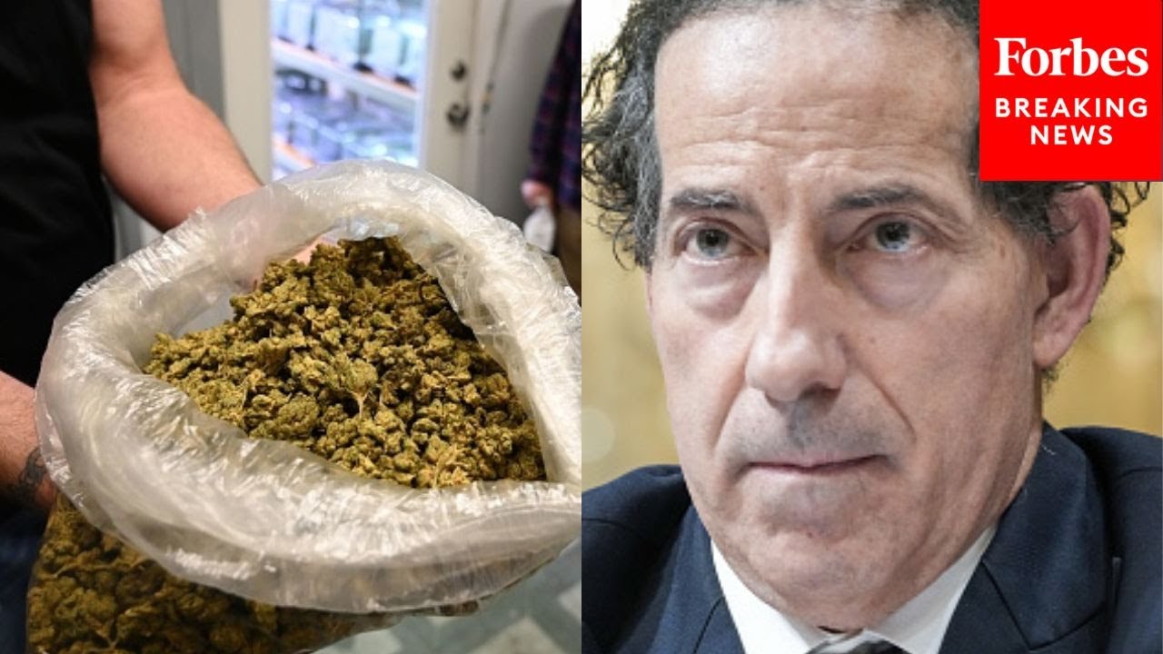 &lsquo;Eroded Respect For The Law&rsquo;: Jamie Raskin Compares Cannabis Laws  To Prohibition Era