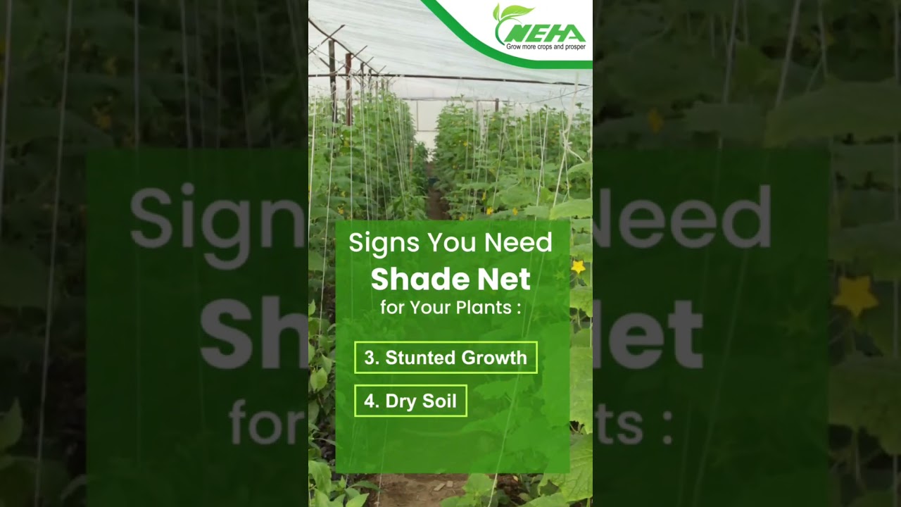 Shield Your Crops, Nurture Your Growth! | Neha Shade Net