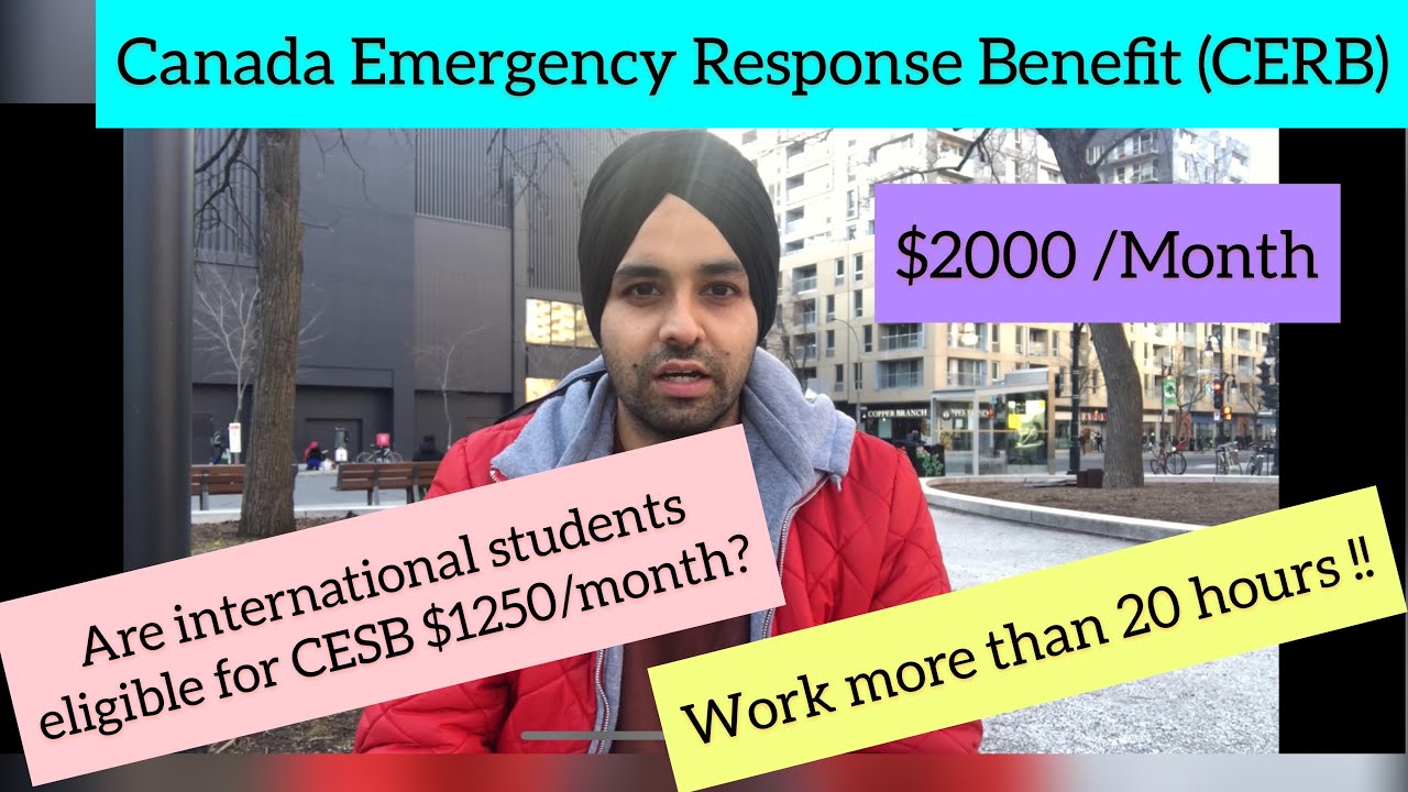 Will International Students get CESB $1250/month ? | Work 40 hours now!! 🇨🇦