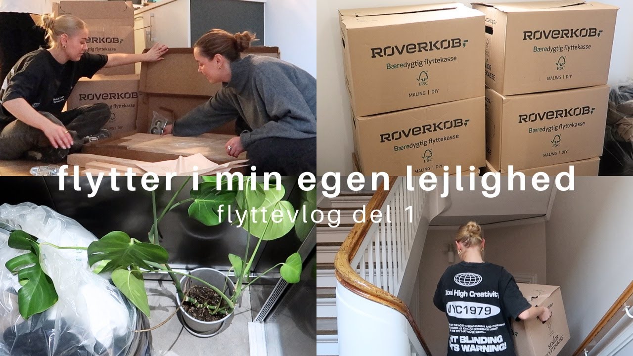 FLYTTEVLOG DEL 1