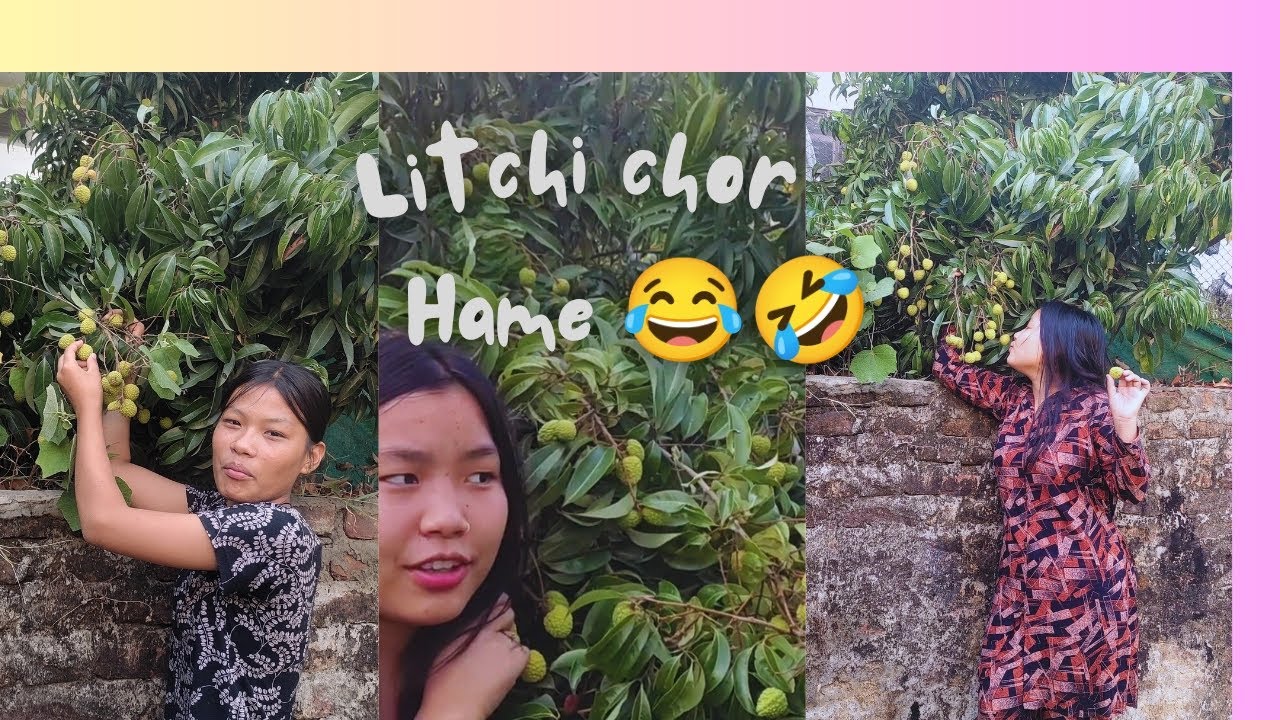 Litchi chor hame 🤣😂🤣