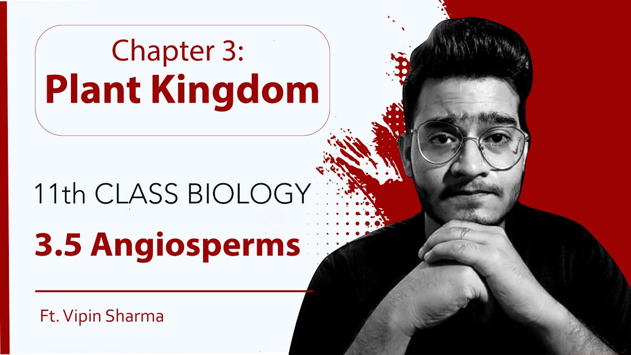 Topic 3.5 Angiosperms (Flowering Plants) | Plant Kingdom-11th Class Biology | Handwritten Notes