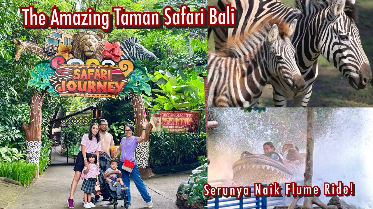 The Amazing Taman Safari Bali | Bali Safari & Marine Park | Rainforest Trail | Flume Ride