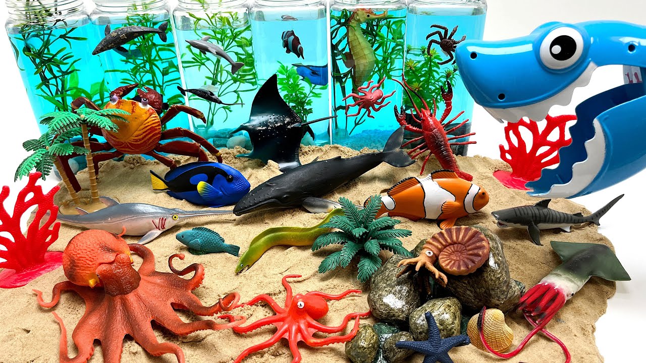 Sea Ocean Diorama For Sea Animals 물병 이용해 바다동물 바다 속 꾸미기 고래 상어 문어 가오리