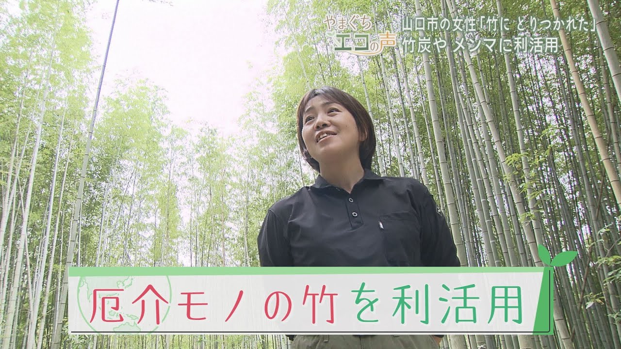 【山口】‟やっかいもの” 竹を再活用