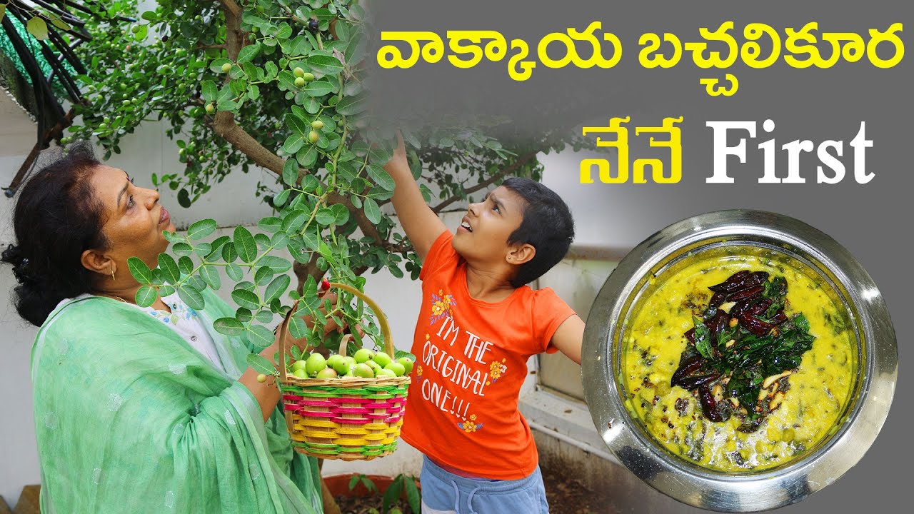 కమ్మటి Vakkaya Bachala kura Pappu/Healthy Benifits of carissa carandas/ వాక్కాయ ఔధగుణాలు