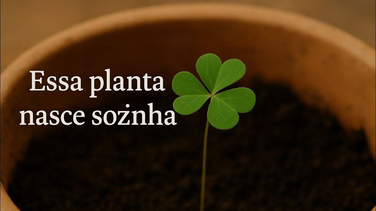 VOCÊ ARRANCA esse matinho? 🍀 Talvez devesse REVER ISSO!
