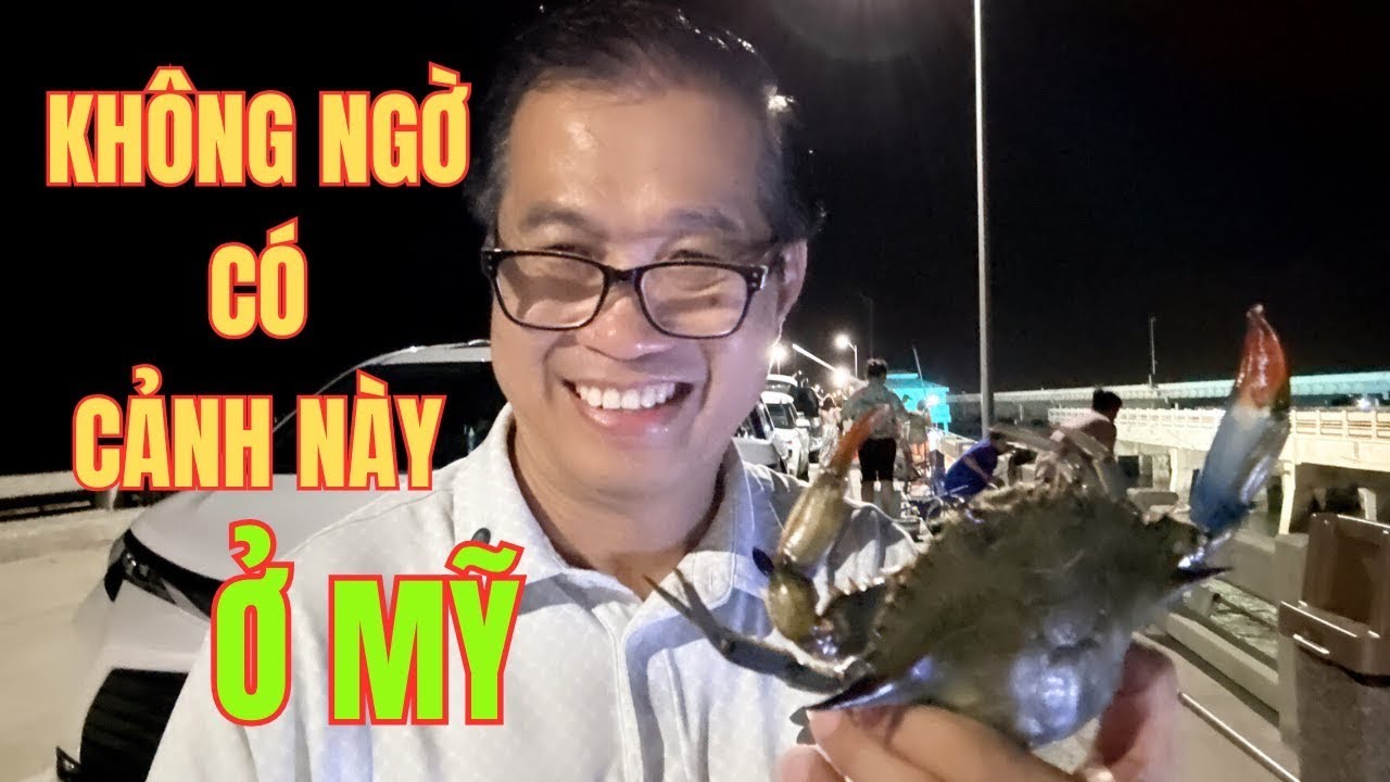 Người Việt Đi Vớt Cua Ghẹ Đông Nghẹt Không Ngờ Ở Tampa, Florida