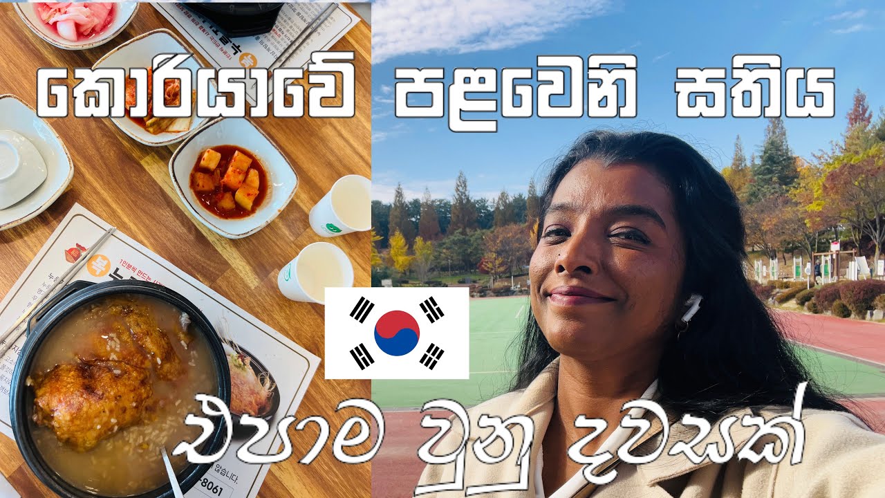 කොරියාවේ සතියක් | වැඩක්ම නැති දවසක් | Day 07 in korea