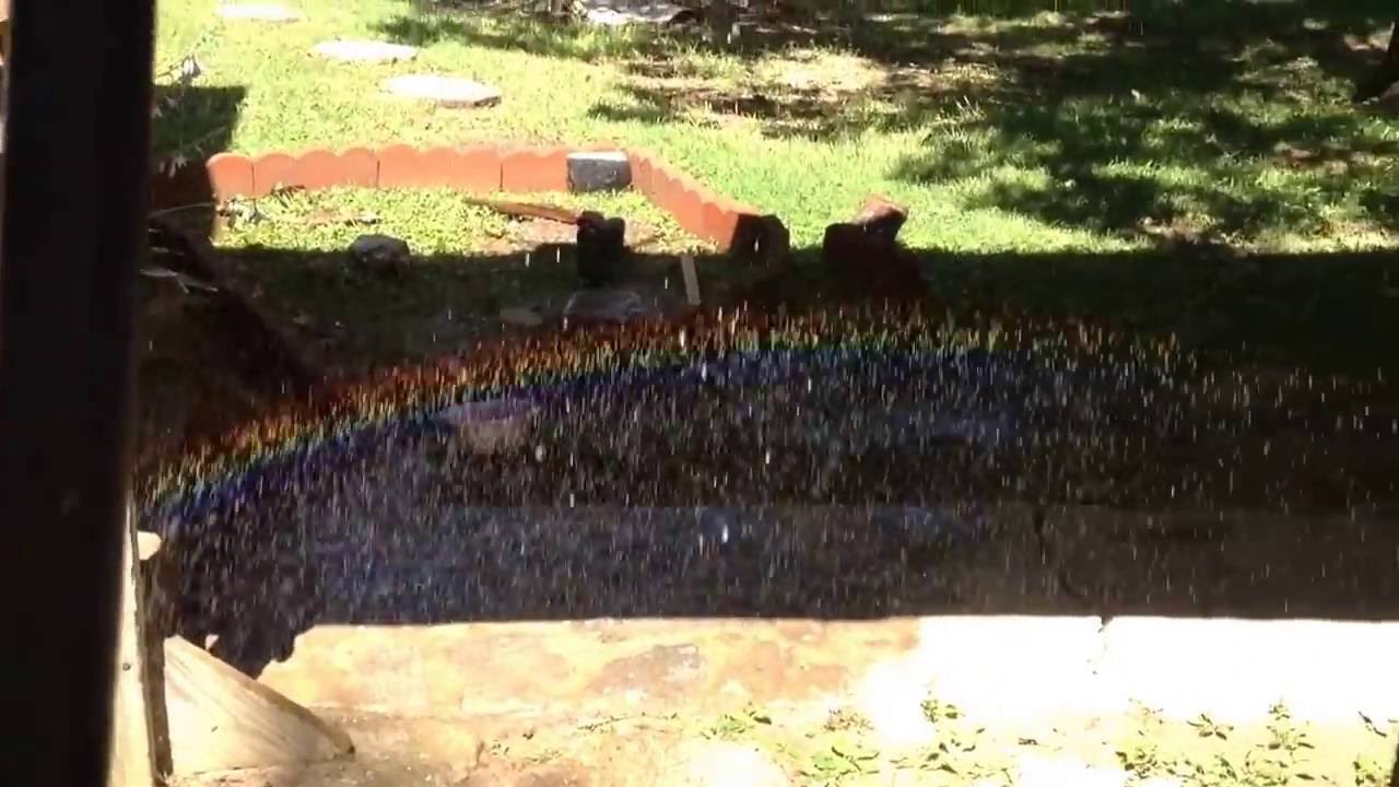 T4 Celebrates LGBT Pride Month! =D