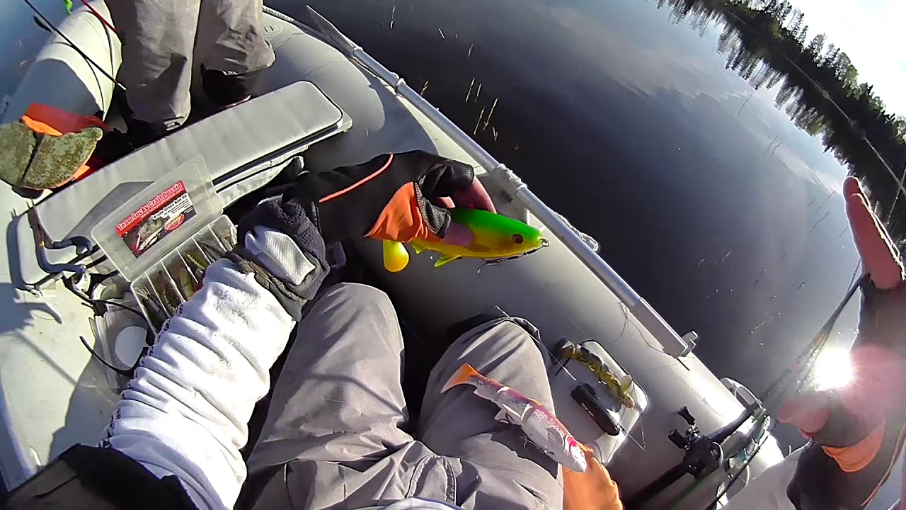 Обзор камеры Water Wolf HD. Уникальные щучьи съёмки под водой.