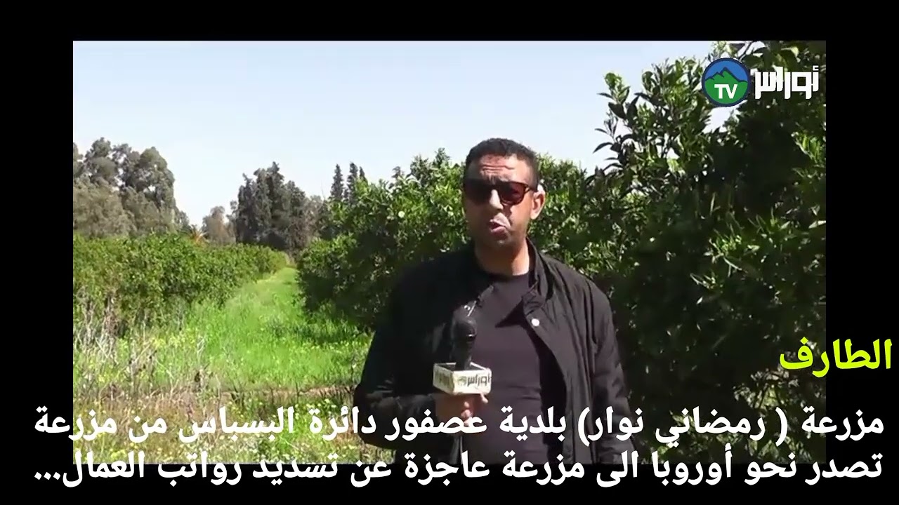 الطارف مزرعة ( رمضاني نوار) بلدية عصفور دائرة البسباس