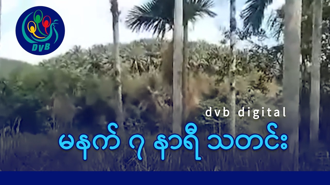 DVB Digital မနက် ၇ နာရီ သတင်း (၁၉ ရက် မတ်လ ၂၀၂၆)