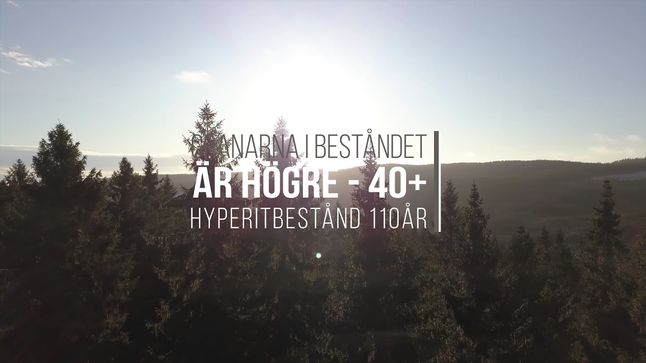 Landets högsta tall 2017