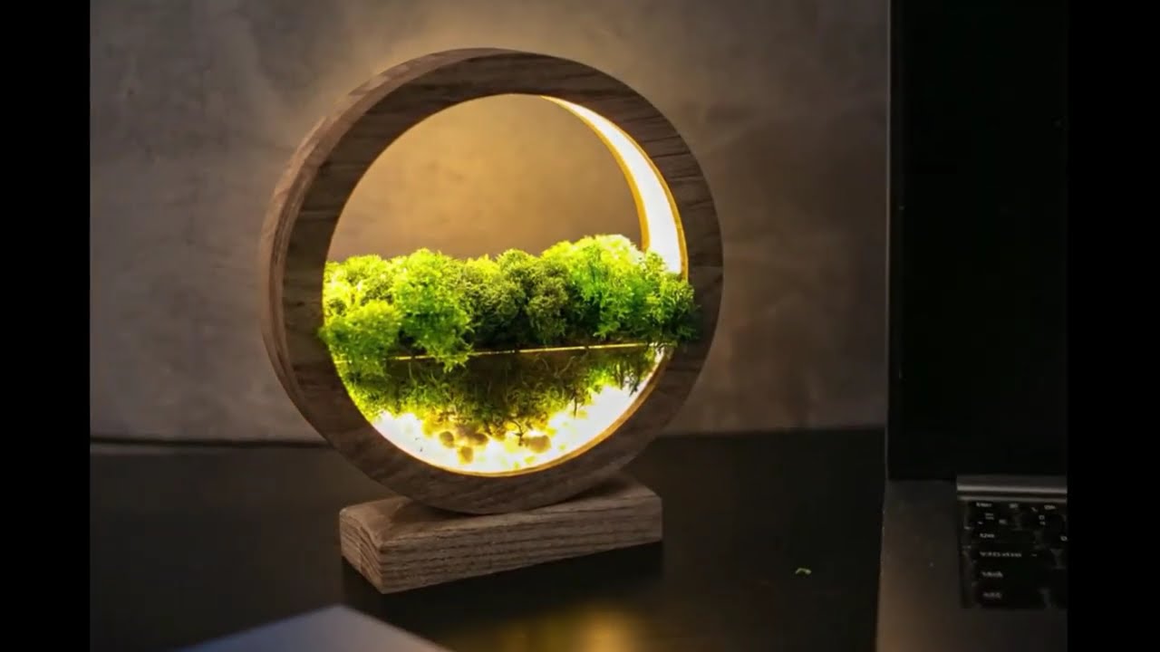 Круглий нічник з декоративним мохом/Round Wood Table Lamp with Preserved Moss