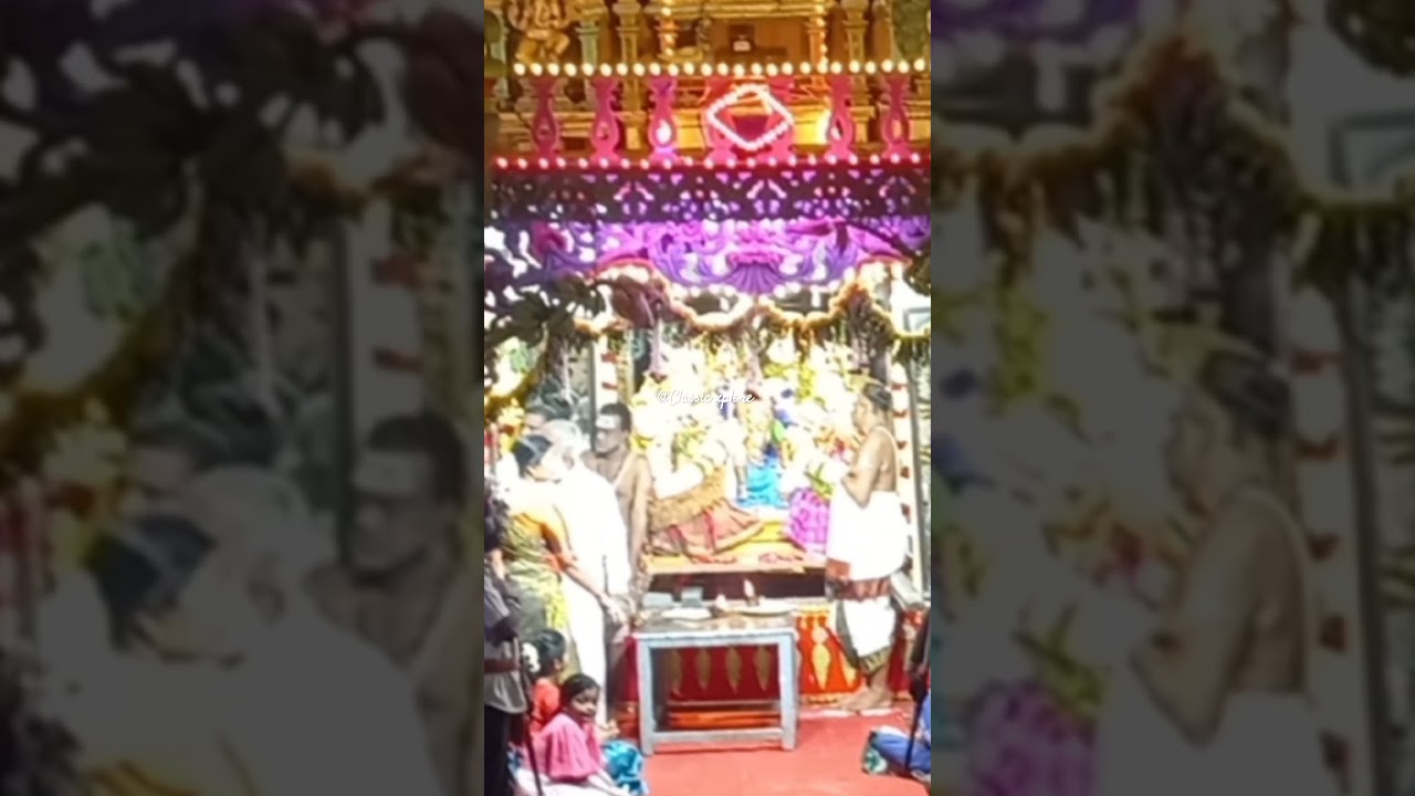 #Thai Poosam #Theppotsavam 25th Jan 2024 #Sri kapaleeswarar temple