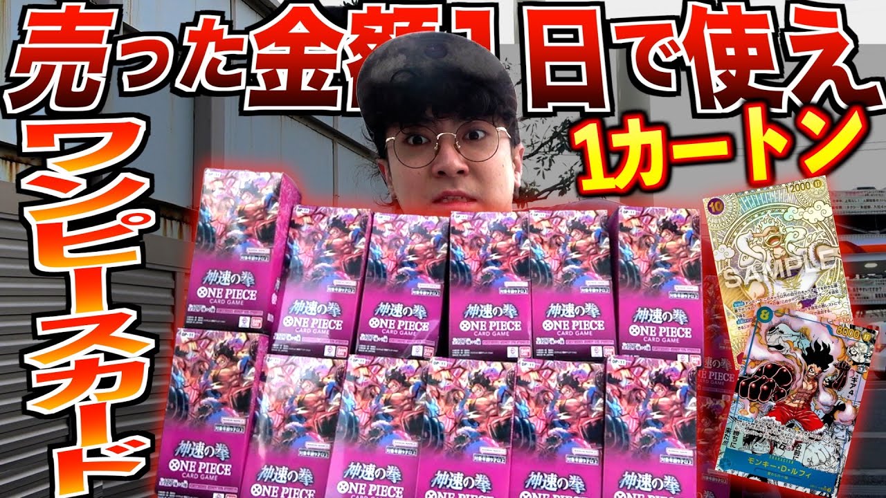 【丸一日】ワンピースカード