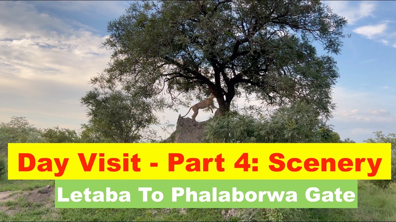 Northern Kruger | Day Visit - Part 4 | Scenery Letaba to Phalaborwa Gate - 11 Dec 2021