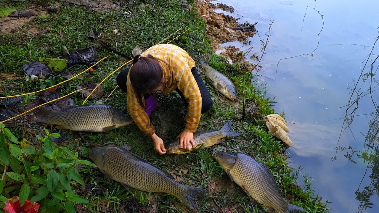 [TIMELAPSE] -- 9850 Days Rainy Day Fishing Skills: Harvesting 15kg In 13&deg;C Cold Weather!