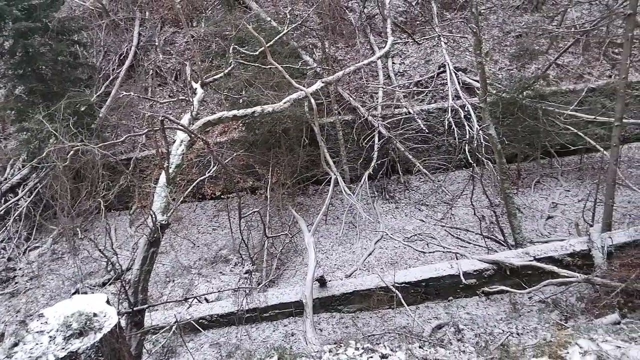 Lost Place - Ehemalige Bahnstrecke zwischen Hillesheim und Birgel - Vulkaneifel Januar 2026
