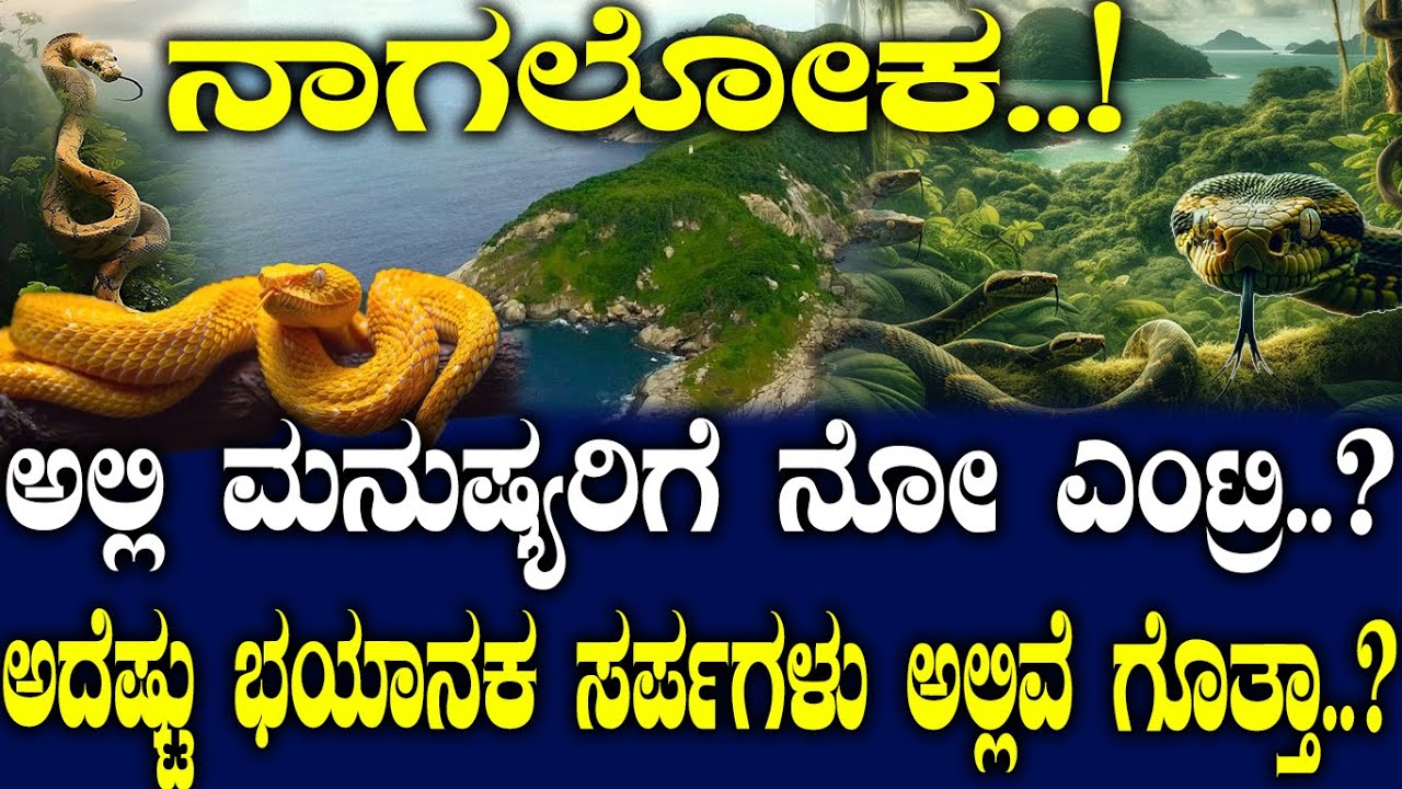 ನಾಗಲೋಕ..! ಅಲ್ಲಿ ಮನುಷ್ಯರಿಗೆ ನೋ ಎಂಟ್ರಿ..? ಅದೆಷ್ಟು ಭಯಾನಕ ಸರ್ಪಗಳು ಅಲ್ಲಿವೆ ಗೊತ್ತಾ..?