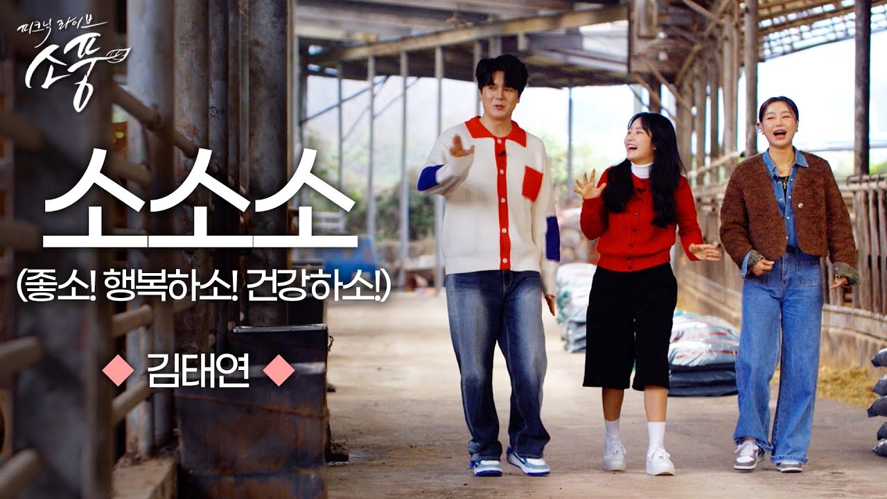 김태연 &ndash; 소소소 (좋소! 행복하소! 건강하소!) | 피크닉라이브 소풍 | EP.136