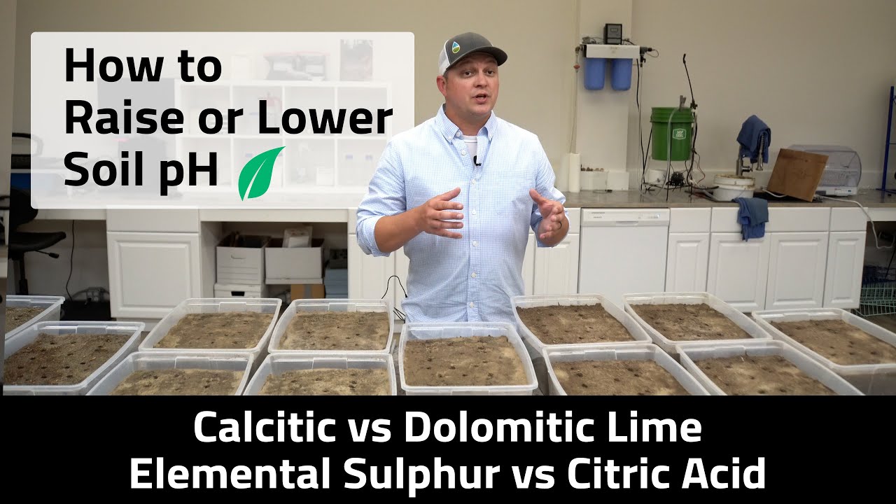 How to Change Your Soil pH | Calcitic Lime vs Dolomitic Lime, Elemental Sulfur vs Citric Acid