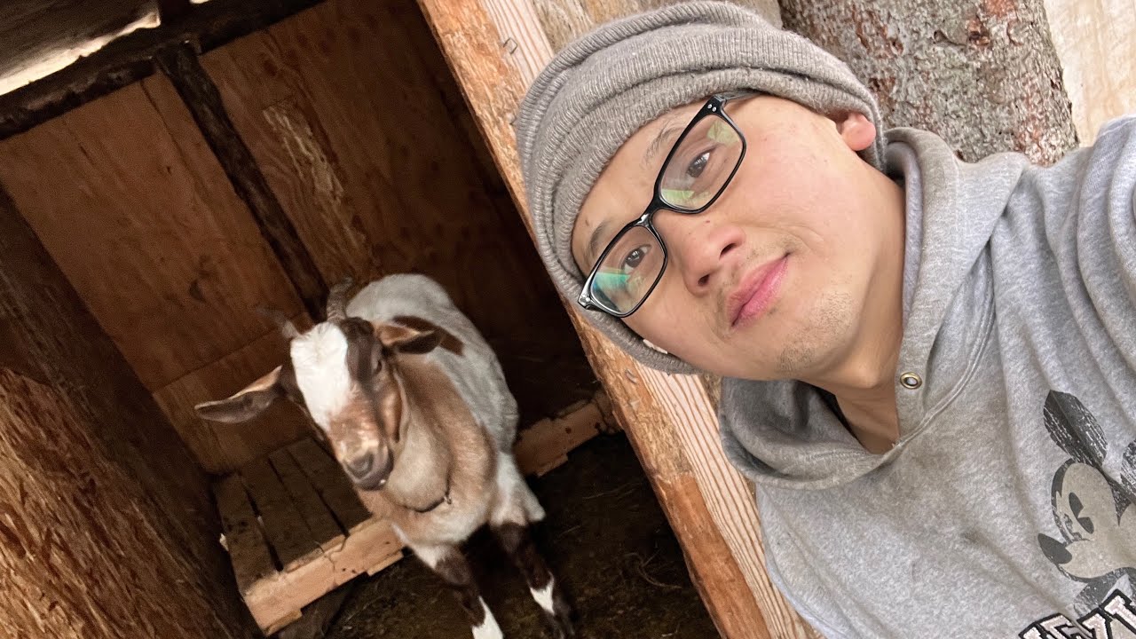 say hello to Daisy (VLOG)