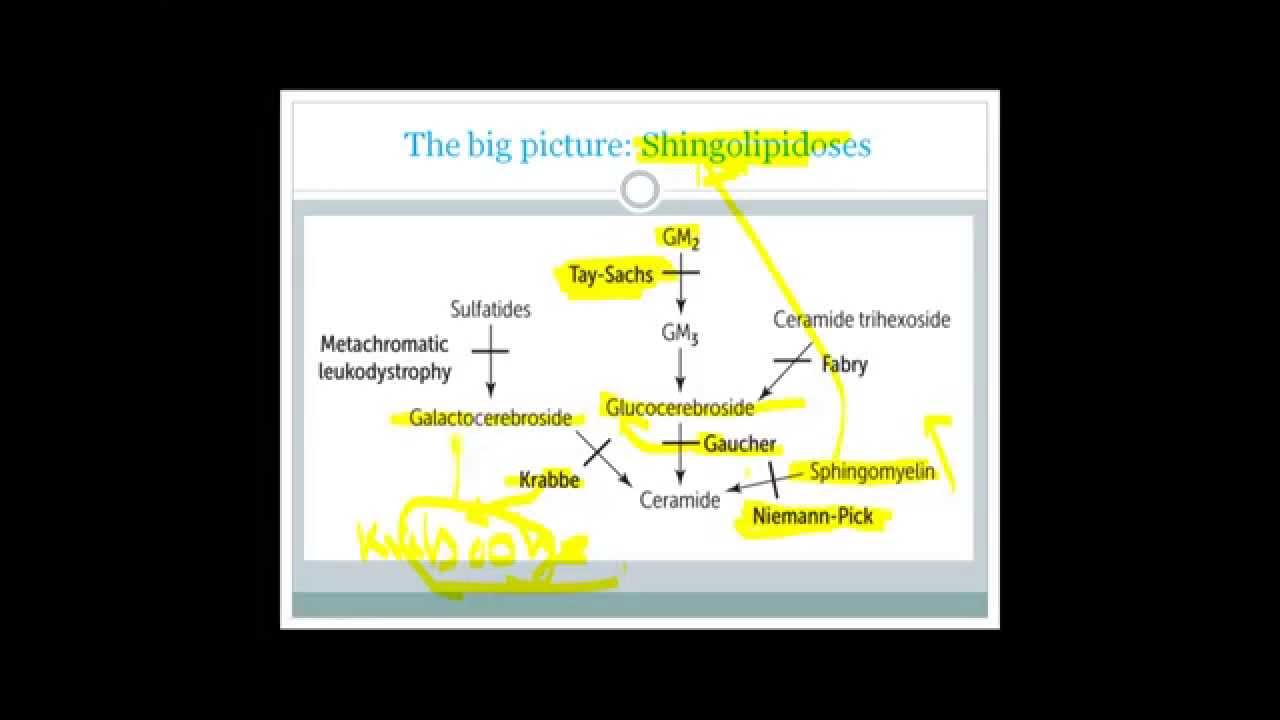 Lysosomal storage diseases made easy with simple memory tricks for USMLE step 1