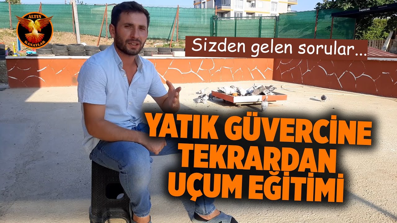 Güvercin eğitim videosu | ALTIN KANATLAR
